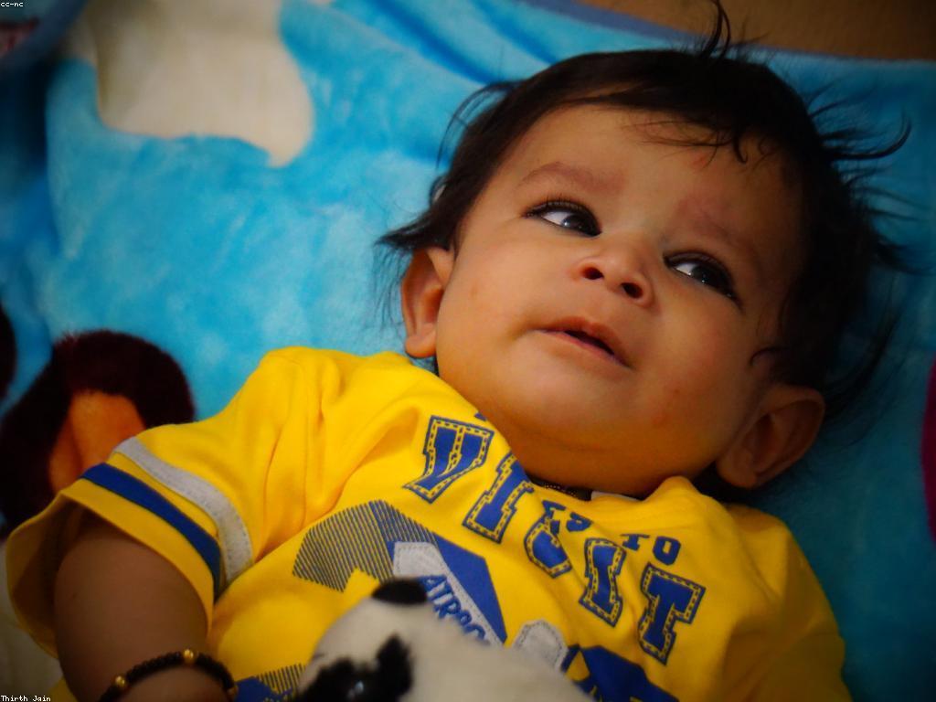 ការយល់ដឹងអំពីវេទិកាប្រកាសព័ត៌មានស្លតថ្មី